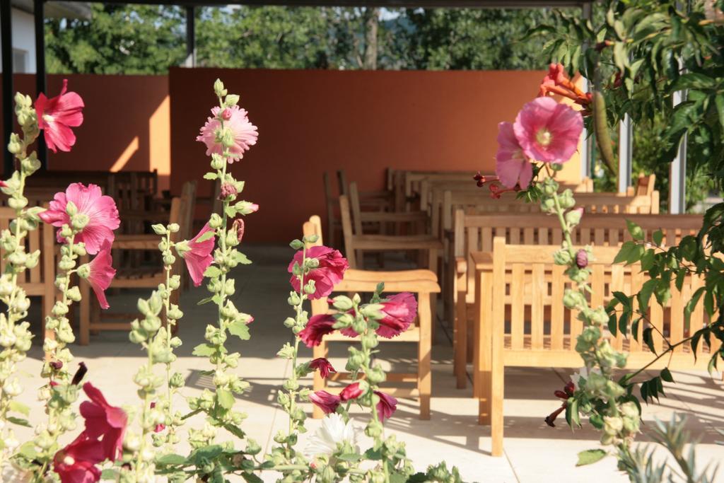 Storchencamp Gaestehaus Purbach Purbach am Neusiedlersee Exterior foto
