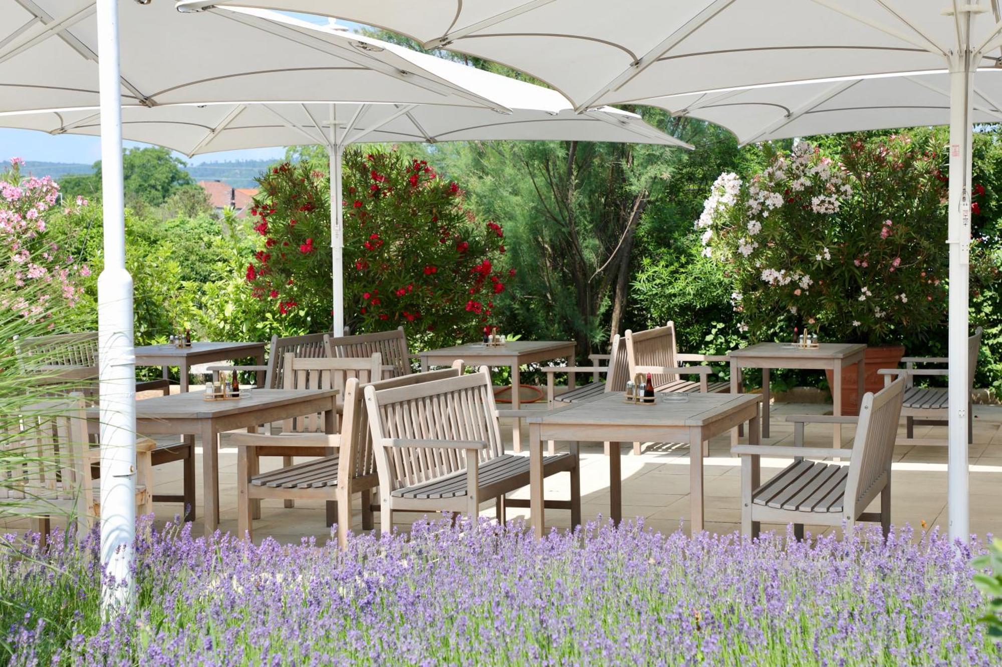 Storchencamp Gaestehaus Purbach Purbach am Neusiedlersee Exterior foto