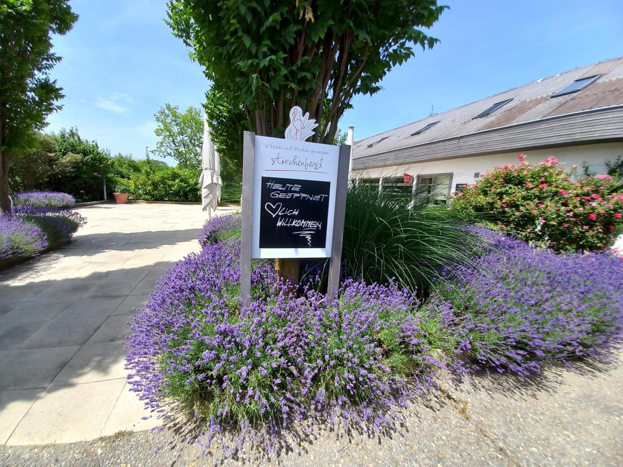Storchencamp Gaestehaus Purbach Purbach am Neusiedlersee Exterior foto